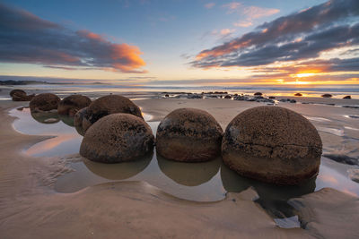 Egg looking boulders in moeraki, new zealand at sunrise