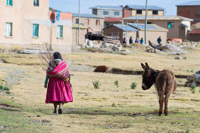 Rear view of woman walking by donkey on field in village