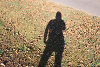 Shadow of man on grass