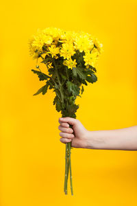 Cropped hand of woman holding flowers against yellow background