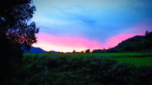 Scenic view of field against cloudy sky