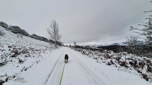 Snow covered road amidst trees against sky