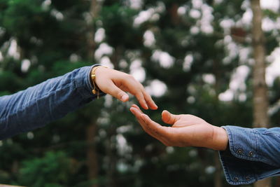 Cropped hand of man reaching for girlfriend against trees