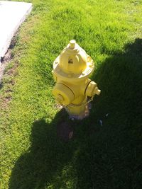 High angle view of fire hydrant in lawn