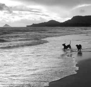 People on beach against sky