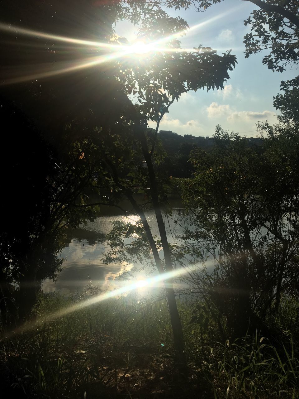 sunbeam, tree, sunlight, plant, sky, sun, lens flare, tranquility, beauty in nature, scenics - nature, tranquil scene, nature, land, no people, water, sunny, day, forest, growth, streaming, outdoors, bright, solar flare, brightly lit