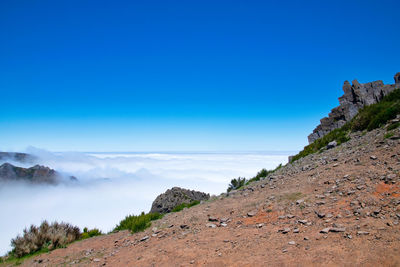 Scenic view of landscape against blue sky