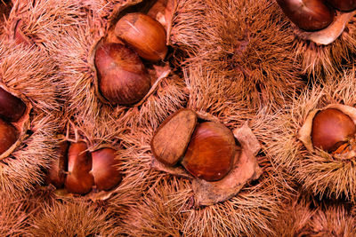 Full frame shot of fruits for sale in market