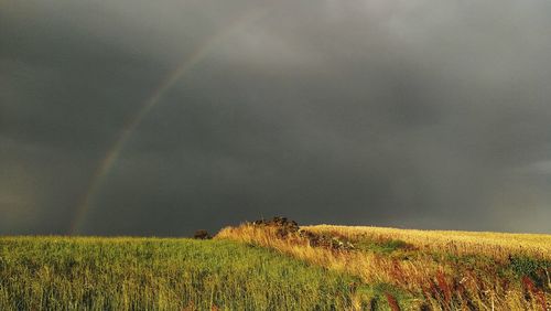 Scenic view of field against rainbow in sky