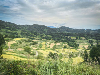 Scenic view of agricultural field against sky