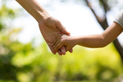 Low angle view of hands holding leaf