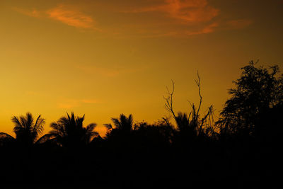 Silhouette plants against sky during sunset