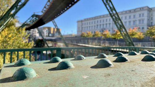 View of birds and buildings in city