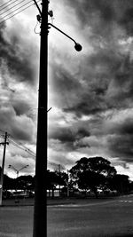 Trees against sky