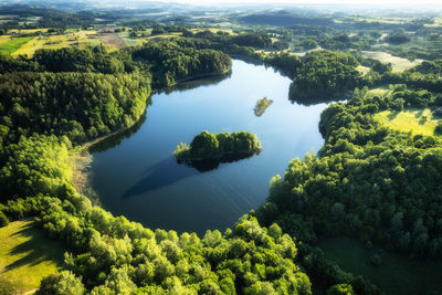High angle view of trees in lake