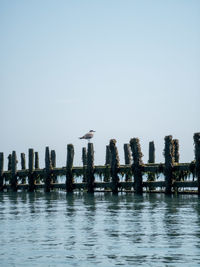 Scenic view of lake against clear sky