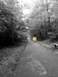 Road passing through trees