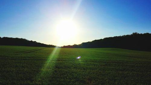 Scenic view of field against bright sun