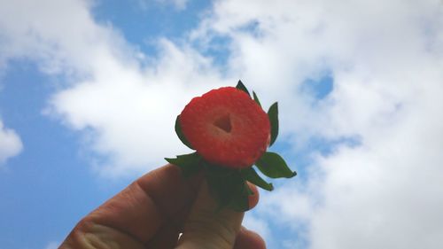 Cropped image of man holding strawberry against sky