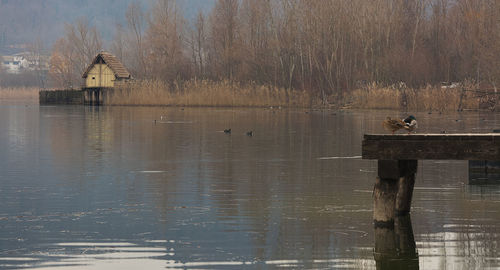 Scenic view of lake