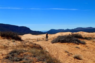 Scenic view of landscape against clear blue sky