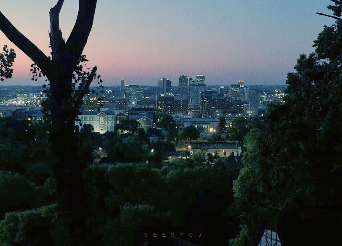 VIEW OF TREES IN CITY