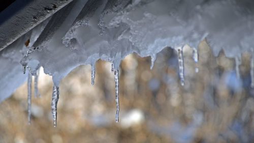 Close-up of frozen water