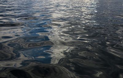Reflection of trees in water