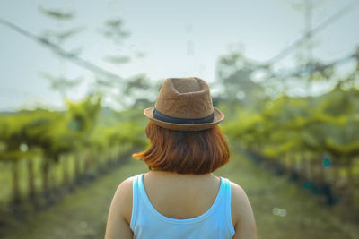 Rear view of woman wearing hat in vineyard