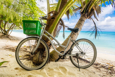 Lonely vintage bicycle on the tropical sandy beach by a palm tree with sky and calm sea