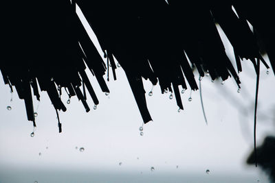 Low angle view of icicles against sky during winter