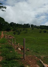 Scenic view of field against sky