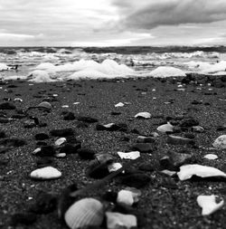 Close-up of stones on beach against sky