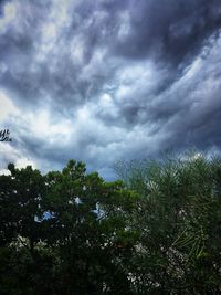 Low angle view of trees against storm clouds