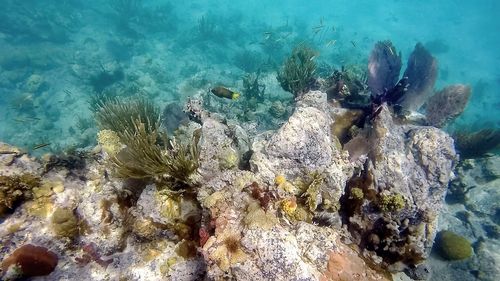 Rocks in sea