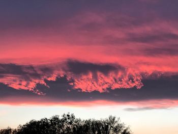 Low angle view of silhouette trees against sky at sunset