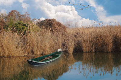 Scenic view of lake by trees against sky