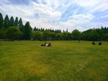 Scenic view of trees on field against sky