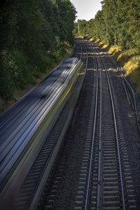 High angle view of train on railroad tracks amidst trees