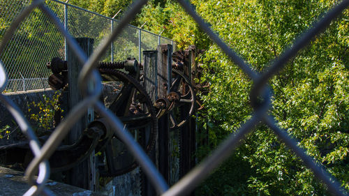 Close-up of chainlink fence