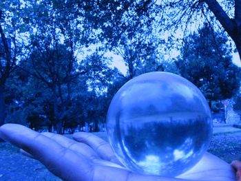 Close-up of crystal ball on snow covered trees