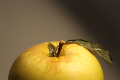 Close-up of apple