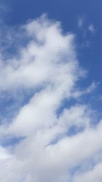 Low angle view of birds flying against sky