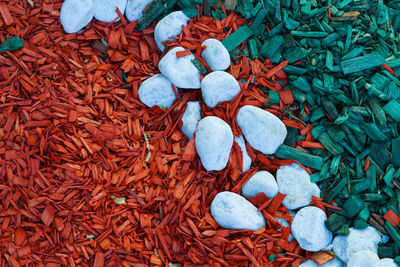 High angle view of cigarette on street