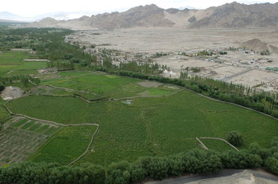 Scenic view of agricultural field