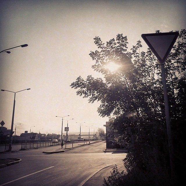 street light, tree, street, road, the way forward, clear sky, lighting equipment, sunlight, transportation, sun, building exterior, built structure, architecture, sky, lens flare, sunbeam, outdoors, diminishing perspective, empty, silhouette