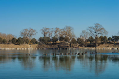 Scenic view of lake against blue sky