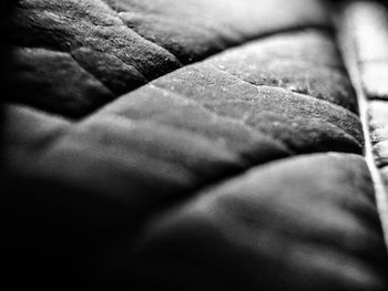 Close-up of object on wall