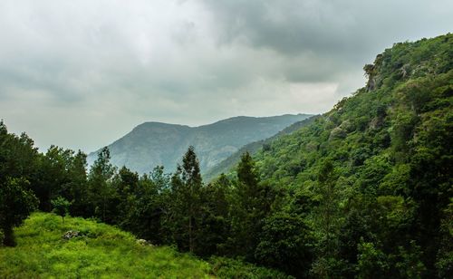 Scenic view of trees and mountains against sky