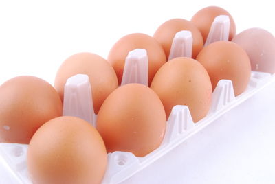 Close-up of eggs against white background